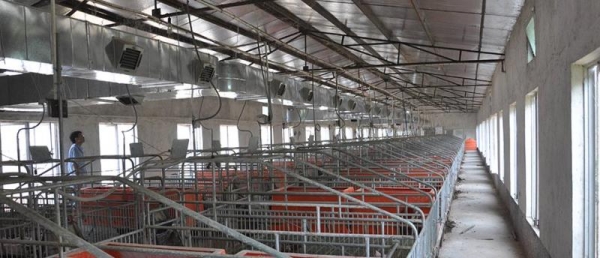 養殖場定點送風降溫